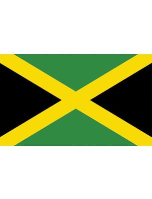 Jamaicaanse Vlag 90x150cm