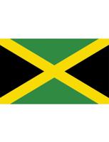 Jamaicaanse Vlag 90x150cm - thumbnail