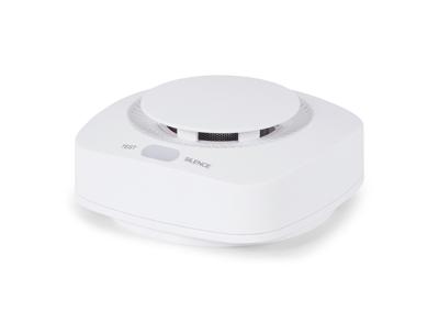 BRAINZ Rookmelder - Voor ruimte tot ca. 60m2 - Wit