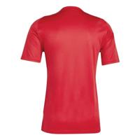 adidas Tiro 24 Trainingsshirt Rood Wit - thumbnail