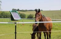 AKO platinumline afrasteringskoord 6mm 200m witblauw - thumbnail