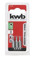 Schroefbit 1/4 inch torx T15 25 mm 3 stuks kaart Eurofix - Eurofix - thumbnail