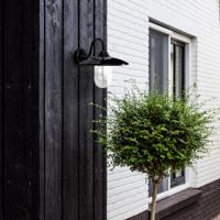 Buitenlamp Brig zwart met Smart WIFI led - thumbnail