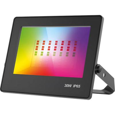 LED Breedstraler RGB met Afstandsbediening - Brinton Zentor - Dimbaar - 30 Watt - Aanpasbare Lichtkleur RGB - Waterdicht IP65 - Zwart