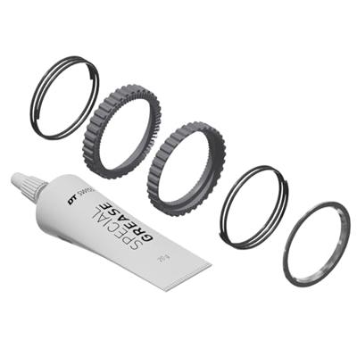 DT Swiss Ratchet DEG 72T Service Kit