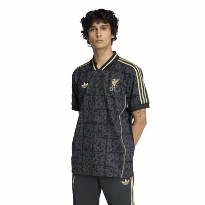 adidas Liverpool Lifestyler T-Shirt Donkergrijs Zwart Goud adidas Liverpool Lifestyler T-Shirt Donkergrijs Zwart Goud