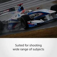 Sony FE 70-300mm F/4.5-5.6 G OSS - thumbnail