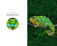 KMP Toner vervangt HP, Troy 80A, CF280A Compatibel Zwart 3100 bladzijden H-T233 1235,8000 - thumbnail