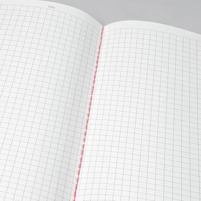 Sigel LS300 Notitieboekje Linescape Softcover 2 stuk(s) DIN A5 Geruit Lichtgrijs, Neon-oranje Aantal paginas: 34