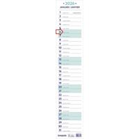 Brepols maand lintkalender, 2026 - thumbnail