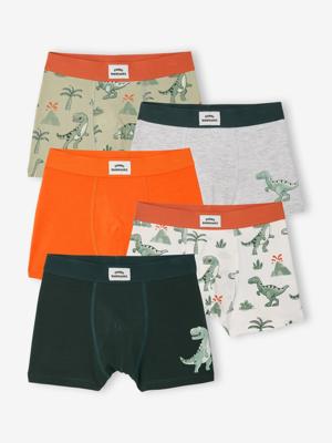 Set van 5 boxershorts dino inktblauw