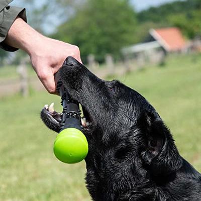 Dog Comets Meteor Werpstok groen L