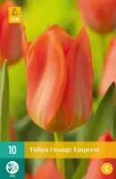 Bloembollen Tulipa Orange Emperor 7st - thumbnail