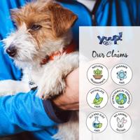 YUUP! CRISP COAT SHAMPOO - thumbnail