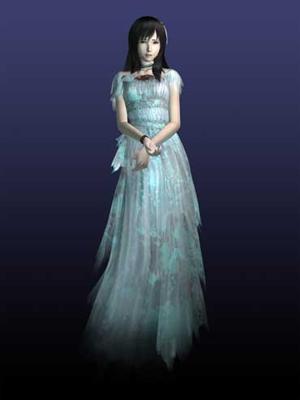 Nintendo Spirit Camera: The Cursed Memoir, 3DS Engels Nintendo 3DS Nintendo Spirit Camera: The Cursed Memoir, 3DS Engels Nintendo 3DS