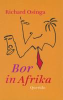 Bor in Afrika - Richard Osinga - ebook - thumbnail