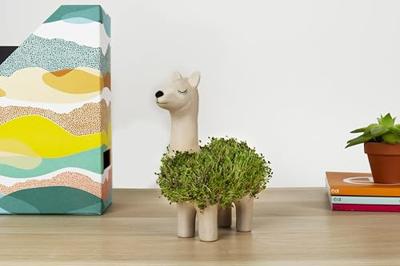 Gift Republic Llama Planter met zaden (aardewerk)