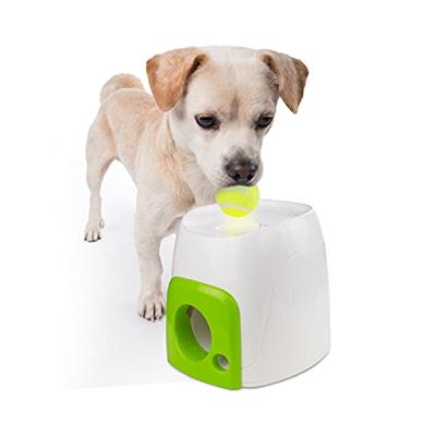 AFP INTERACTIVE FETCH 'N TREAT