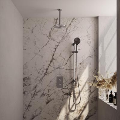 Inbouw Regendouche Set Brauer Brushed Edition Plafond Uitloop Ronde Hoofddouche 20 cm Met Handdouche 3 Standen en Glijstang RVS Look Brauer