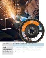 Fein 63730022010 Lamellenschuurschijf Diameter 125 mm Boordiameter 22.23 mm 10 stuk(s) - thumbnail