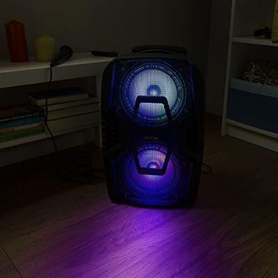 Fenton FT208LED mobiele party speaker microfoon 2x 8 inch