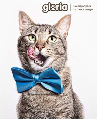 Krabpaal voor Katten Gloria Jarama Boomstructuur Grijs Hout Papier Sisal (35 x 100 x 60 cm)