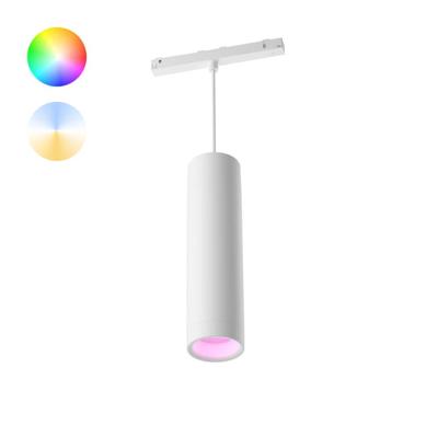 Philips Hue Perifo - White and color uitbreiding hanglamp wit - 929003116001