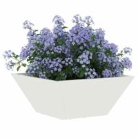Tuin Bloempot Wit 35 x 35 x 15 cm Koudgewalst staal - thumbnail