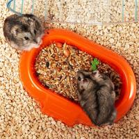 FERPLAST COMBI 1 - Speelse hamsterkooi - Kunststof - thumbnail
