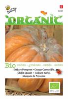 Zaden Organic Eetbare Pompoen Musquee de Provence (BIO) Buzzy - Buzzy - thumbnail