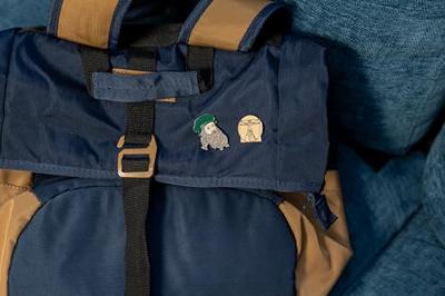 UPG Pins - Leonardo en de Vetruvian Man