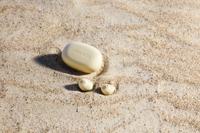 Draadloze hoofdtelefoon Urbanista Lisbon - thumbnail