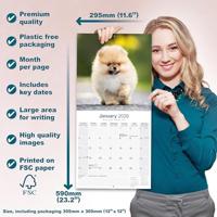 Pomeranian Kalender 2026 - thumbnail