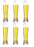 Warsteiner premium cup (6x 25cl) - thumbnail