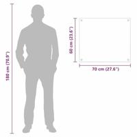 VidaXL Keuken achterwand doorzichtig 70 x 60 cm gehard glas - thumbnail