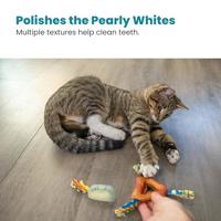 Petstages catnip dental health chew - thumbnail