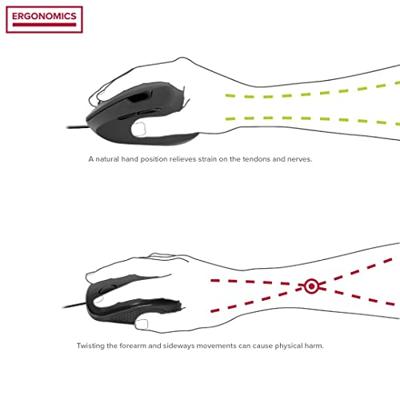 SpeedLink Piavo Ergonomische muis USB Optisch Zwart 6 Toetsen 800 dpi, 1200 dpi, 1600 dpi, 2400 dpi Ergonomisch SpeedLink Piavo Ergonomische muis USB Optisch Zwart 6 Toetsen 800 dpi, 1200 dpi, 1600 dpi, 2400 dpi Ergonomisch