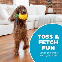 Outward Hound Dental Pineapple - thumbnail