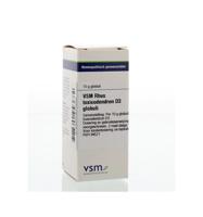 VSM Rhus toxicodendron D3 (10 gr) - thumbnail