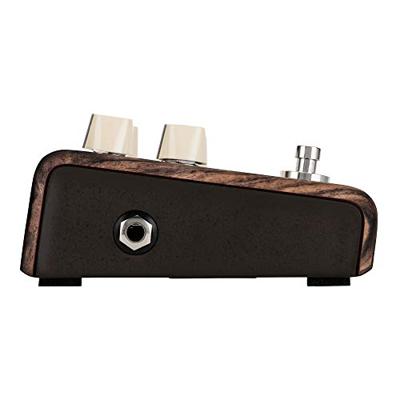 LR Baggs Align Series Chorus