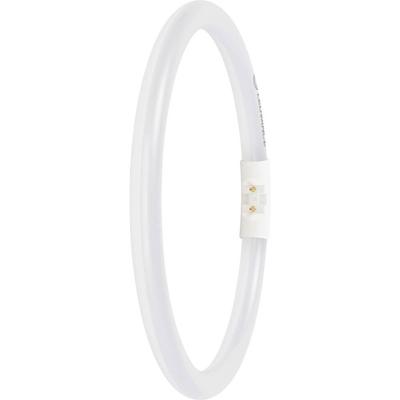 LEDVANCE LED-buis-Buis Energielabel: E (A - G) T5 11.6 W Warmwit 1 stuk(s) (Ø x l) 16.50 mm x 225.00 mm LEDVANCE LED-buis-Buis Energielabel: E (A - G) T5 11.6 W Warmwit 1 stuk(s) (Ø x l) 16.50 mm x 225.00 mm