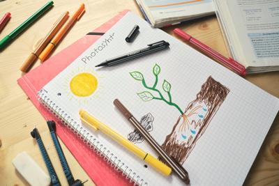 Viltstift STABILO pointMax 488/48 karmijnrood | 10 stuks