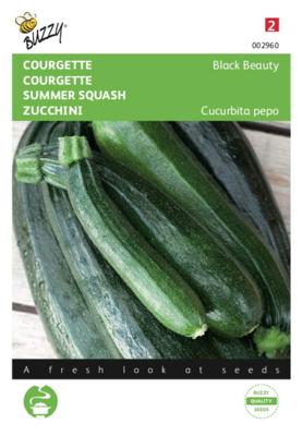 Zaden Courgette Black Beauty - Verte De Milan Buzzy - Buzzy