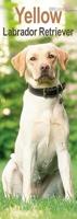 Labrador Retriever Blond Kalender 2026 Slimline - thumbnail