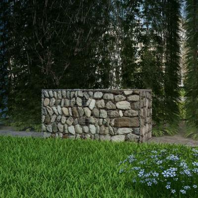 VidaXL Gabion mand 100x50x50 cm gegalvaniseerd staal