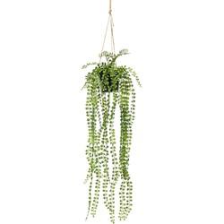 Zijdeplant Hangplant met pot Ficus Pumila kunstplant Driesprong Collection - Driesprong collection