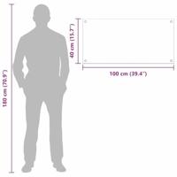 VidaXL Keuken achterwand 2 pcs doorzichtig 100 x 40 cm gehard glas - thumbnail