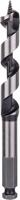 Bosch Accessoires Houtslangenboor, zeskant 16 x 100 x 160 mm, d 11,1 mm 1st - 2608585703 - thumbnail