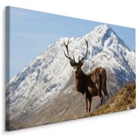 Schilderij - Hert in de Bergen, 5 maten, Premium print - thumbnail