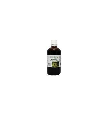 Cruydhof Viscum album herb / maretak tinctuur 100 Milliliter Cruydhof Viscum album herb / maretak tinctuur 100 Milliliter